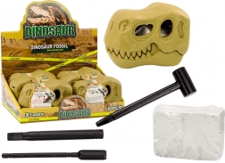 Archeologiczne wykopaliska Dinozaury Skamieniałości Czaszka