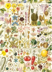 Puzzle Botaniczna Błogość 1000 elementów