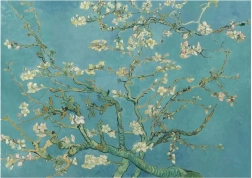 Puzzle Migdałowy Kwiat XL 700 elementów ANATOLIAN