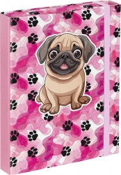 Okładki na zeszyty A5 – Łapki