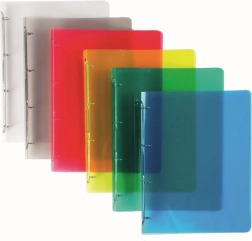 Segregator z polipropylenu A4 z 2 ringami Lines, mix kolorów