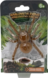 Pełzająca tarantula na pilota