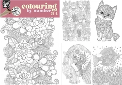 Malowanie po numerach A4 z podwójnymi kredkami