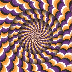 Puzzle iluzja optyczna 1023 elementy MAGNOLIA