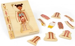 Bigjigs Toys drewniane puzzle anatomia – dziewczynka