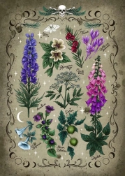 Puzzle Trujące Rośliny 1000 elementów