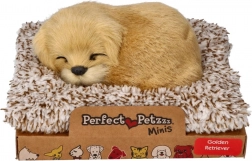 Szczekający golden retriever na legowisku