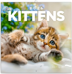 Kalendarz notesowy Kocięta 2026