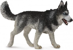 Collecta syberyjski husky – figurka