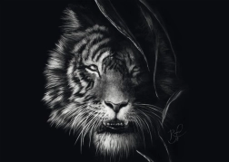 Schmidt puzzle Dzikość tygrysa – uosobienie wolności 1000 elementów