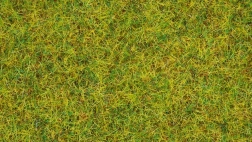 Trawa statyczna Letnia Łąka 2,5 mm