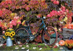 Puzzle Urok jesieni 1000 elementów PIATNIK