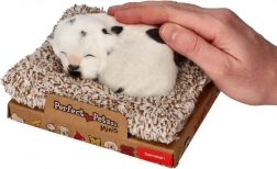 Szczekający dalmatyńczyk na legowisku