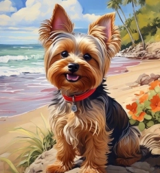 Diamentowe malowanie yorkshire na plaży 30 × 40 cm