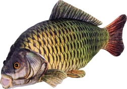 Pluszowy karp 52 cm