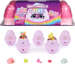 Hatchimals Alive Rainbow Splash zestaw 5 figurek w jajeczkach z akcesoriami