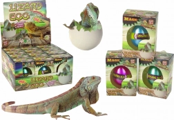 Magiczne wykluwające się jajko – rosnąca jaszczurka 6 cm
