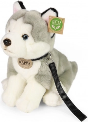 Pluszowy pies Husky z smyczą 28 cm od Rappa