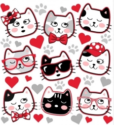 Naszywki termotransferowe z szopami na ubrania