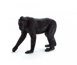 Mojo figurka makaka czubatego – średni rozmiar