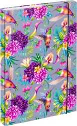 Teczki na zeszyty A4 Koliberek BAAGL