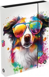 Pudełko na zeszyty A4 Jumbo z psem