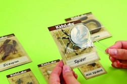 edukacyjny zestaw wykopalisk – robaczki