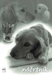 Szkicownik A3, 20 arkuszy