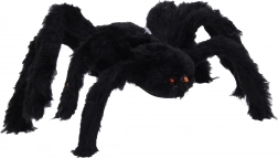 Duży czarny pająk na Halloween