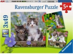 Ravensburger puzzle kocięta 3×49 elementów