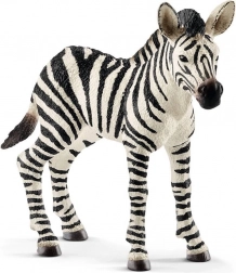Figurka młodej zebry Schleich Wild Life