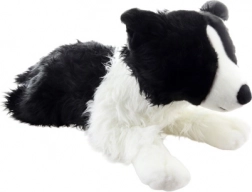 Pluszowy pies border collie 70 cm