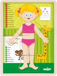 Woody drewniane dwustronne puzzle ciało ludzkie - dziewczynka