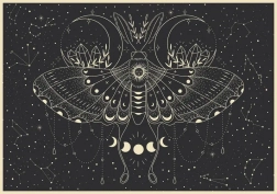 Puzzle Galaxy: Księżycowy Motyl 500 elementów