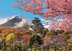 Educa Puzzle Zamek w Osace, Japonia 2000 elementów