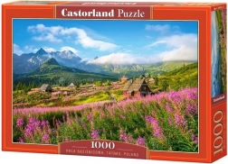 Puzzle 1000 elementów Hala Gąsienicowa, Tatry, Polska