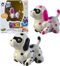 Piesek jeżdżący po namalowanej linii