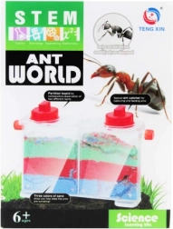 kreatywny zestaw – świat mrówek