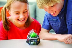 Zestaw edukacyjny do hodowli kryształów 4M - Czerwone kryształy