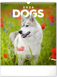 Ścienny kalendarz Psy 2026