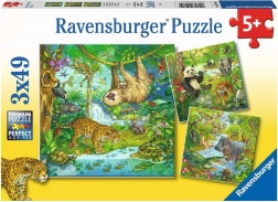 RAVENSBURGER Puzzle Zwierzęta w dżungli 3x49 elementów