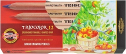 Trójkątne kredki Triocolor 12 szt. KOH-I-NOOR