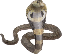 Metalowe puzzle 3D COBRA – zestaw METAL EARTH