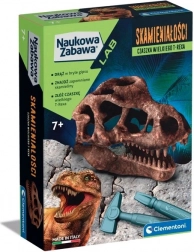 Naukowy zestaw skamieniałość czaszka T-Rexa