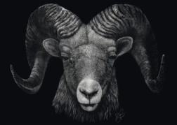 Puzzle Dominacja Barana: Ucieleśnienie ognia 1000 elementów SCHMIDT