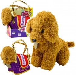 Pluszowy pudel w torebce na rzep – pupil jasnobrązowy