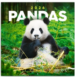 Notesowy kalendarz Pandy 2026