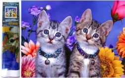Diamentowe malowanie Dwa kotki 30x40 cm