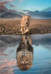 Puzzle 300 elementów – Autorefleksja