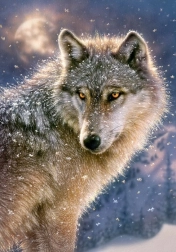 puzzle 500 elementów Lone Wolf